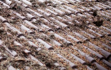 Bruar roof cleaning companies