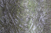 Bruar fibreglass roof work